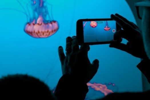 Tik Tok and Instagram Reels prove the value of short form, 'snackable' content | DMX Marketing Experts