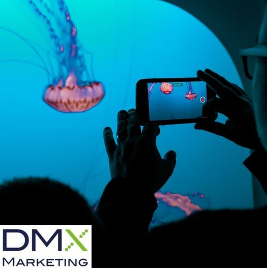 Tik Tok and Instagram Reels prove the value of short form, ‘snackable’ content | DMX Marketing Experts Tik Tok and Instagram Reels prove the value of short form, 'snackable' content | DMX Marketing Experts